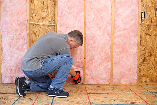 Best Specialized Insulation Services in Dakota Dunes, SD