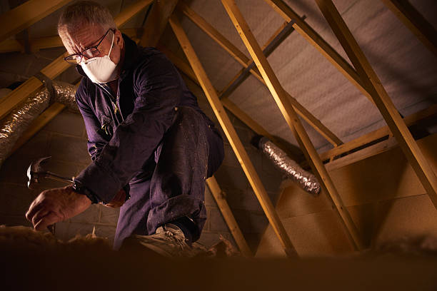 Best Commercial Insulation in Dakota Dunes, SD