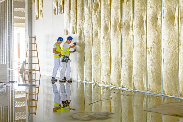 Best Cellulose Insulation in Dakota Dunes, SD